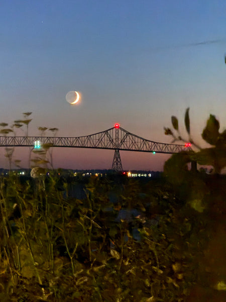 Astoria Through the Branches Bridge & Crescent Moon Original Photography Paper Prints & Framed Metal Prints