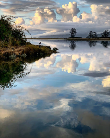 Cloud Reflection & Heron on Tillamook Bay Original Photography 8x10 or 11x14