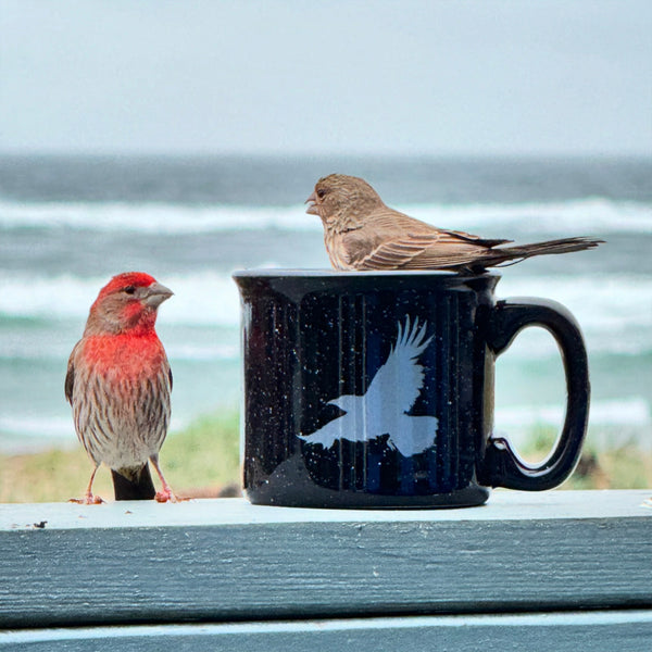Flying Raven Black 15oz Ceramic Campfire Mug