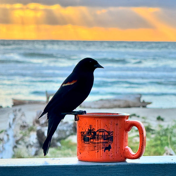 Sea Lions Port Orange 15oz Ceramic Campfire Mug