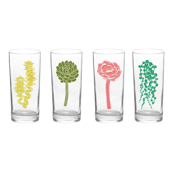 4 Pack Boxed Set Succulent Garden Color Tall Collins Glasses