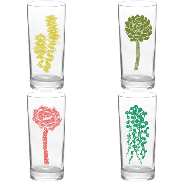 4 Pack Boxed Set Succulent Garden Color Tall Collins Glasses
