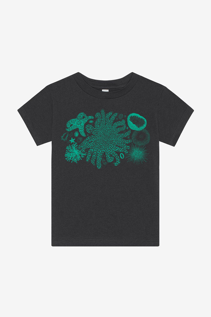 Tide Pool Treasures T-Shirt Toddler & Youth Dark Grey – Salty Raven