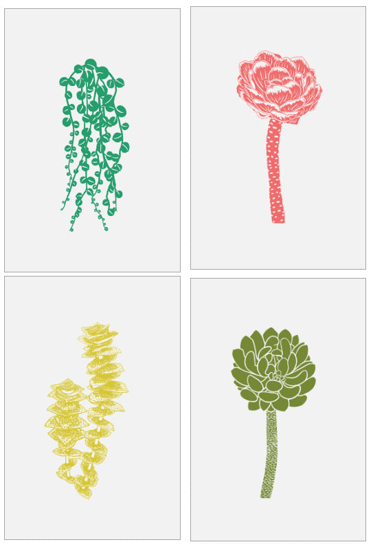 succulent dish towel Succulent Tea Towel Set
