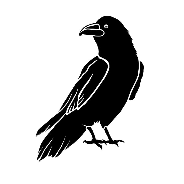 Peaceful Raven Pint Glass