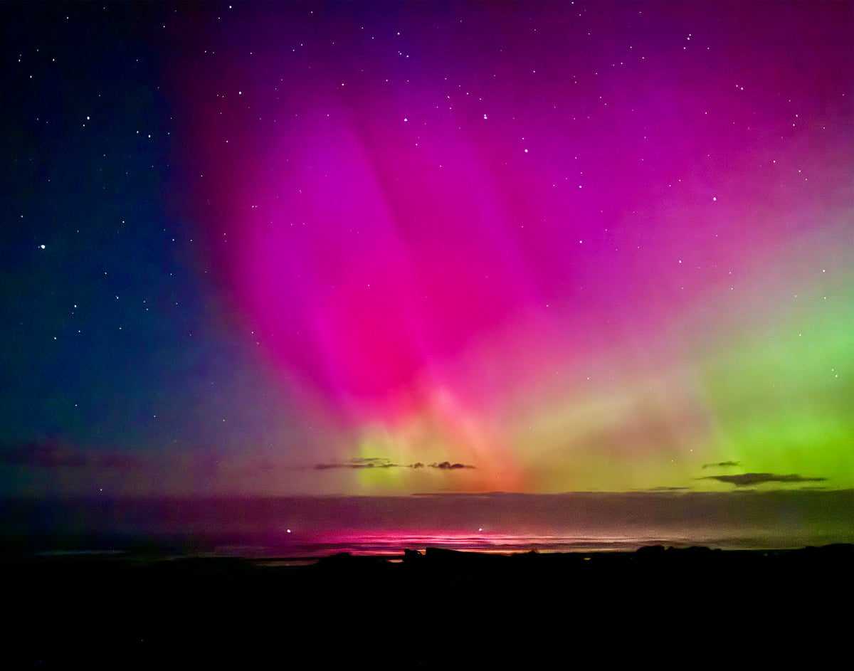 Aurora Borealis Oregon Coast Photograph – Salty Raven