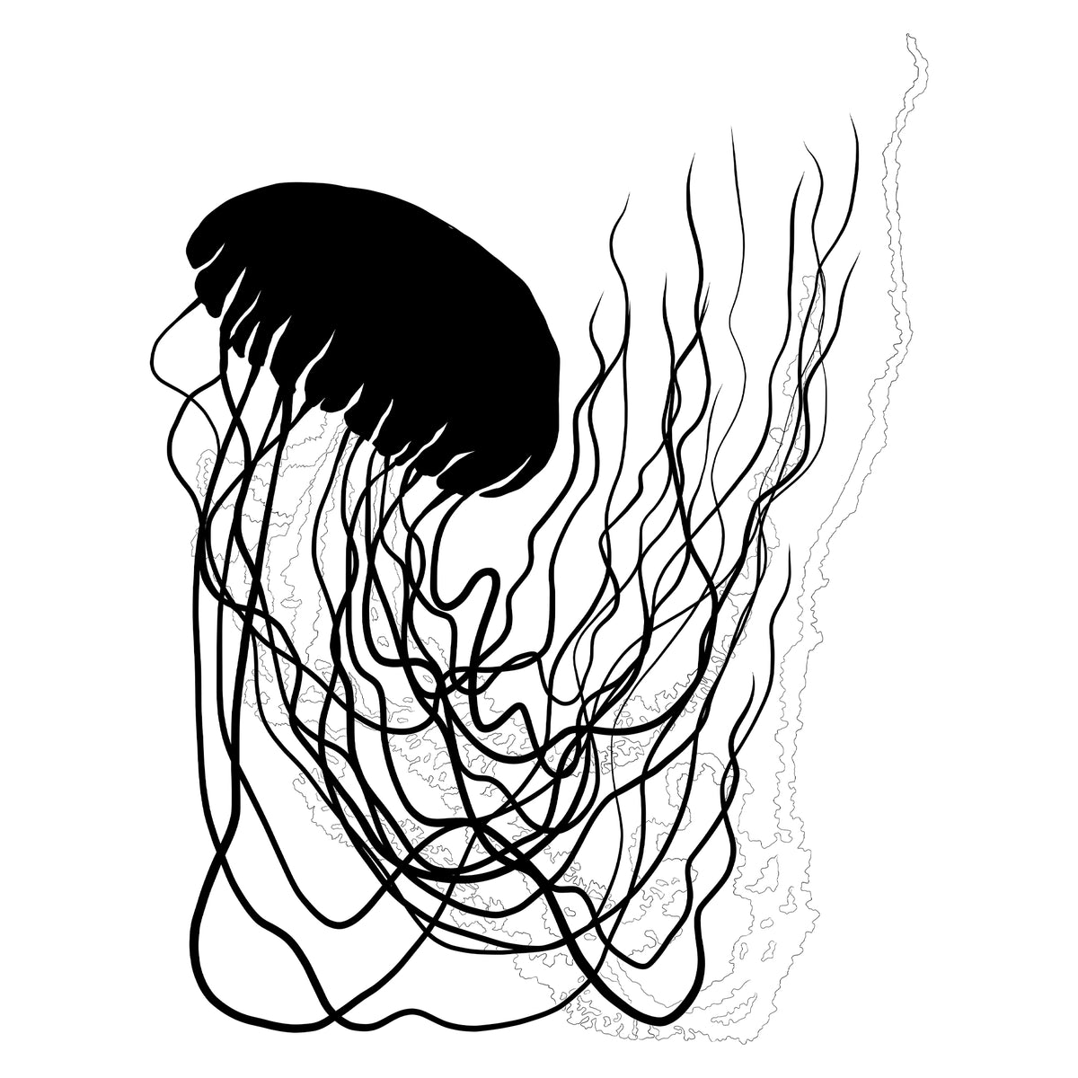 Jellyfish Series Reach – Salty Raven