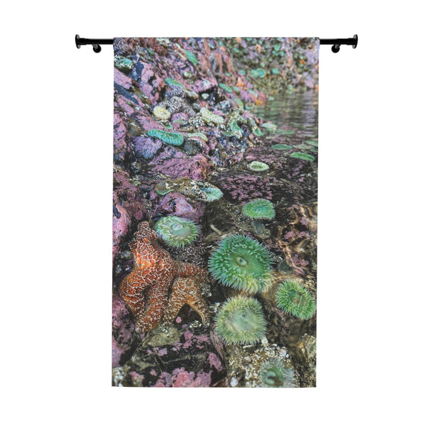 Tide pool Dreamland Window Curtain | Coastal Beach Scene Curtain