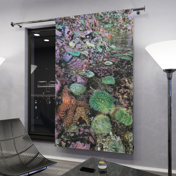 Tide pool Dreamland Window Curtain | Coastal Beach Scene Curtain