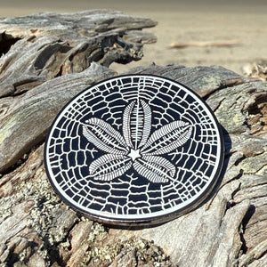 Sand Dollar Lapel Pin