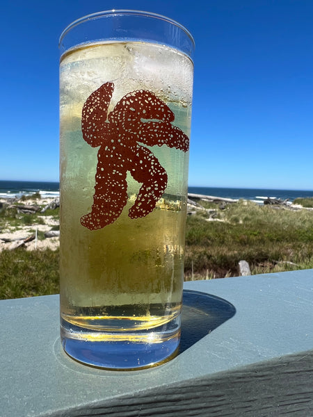 4 Pack Boxed Set Sea Star Color Tall Collins Glasses