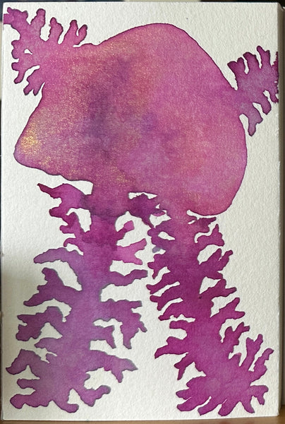 Jillian Jelly 8x 10  - Original Watercolor Paintings By Seasons Kaz Sparks