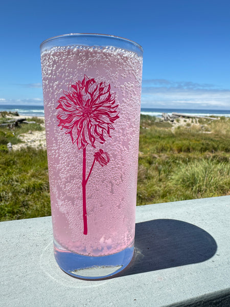 Flowers Dahlia Flower Color Fuchsia Tall Collins Glass