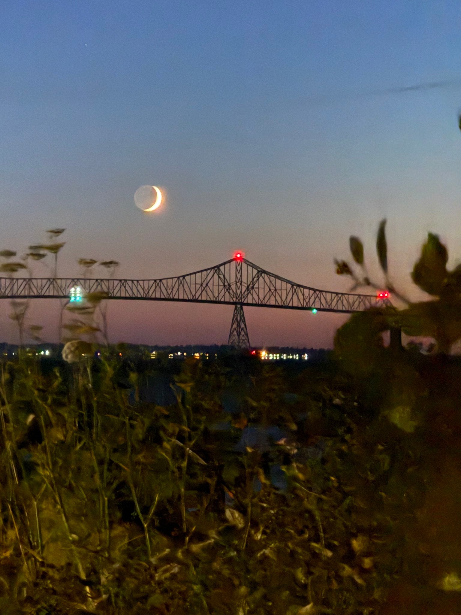 Astoria Through the Branches Bridge & Crescent Moon Original Photography Paper Prints & Framed Metal Prints
