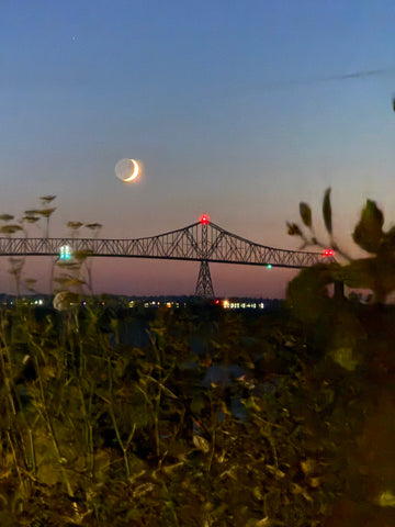 Astoria Through the Branches Bridge & Crescent Moon Original Photography Paper Prints & Framed Metal Prints