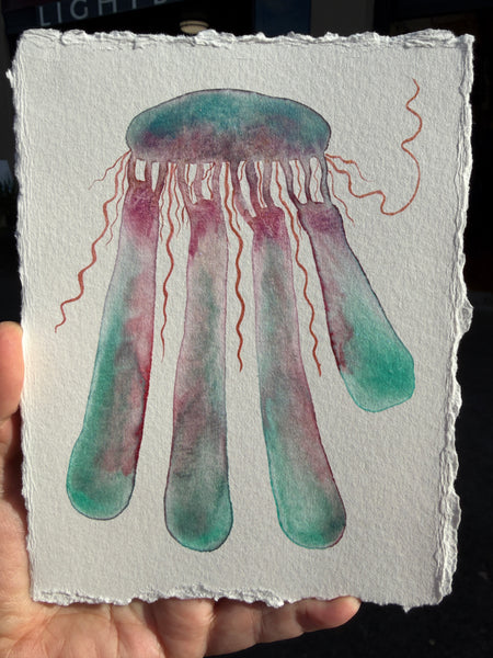 Legs of Juno Jelly 11x14  - Original Watercolor Paintings By Seasons Kaz Sparks