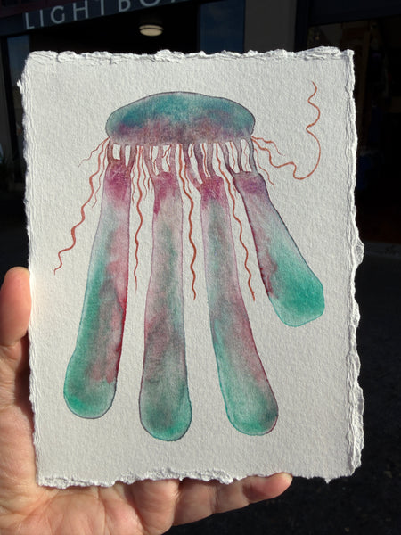 Legs of Juno Jelly 11x14  - Original Watercolor Paintings By Seasons Kaz Sparks