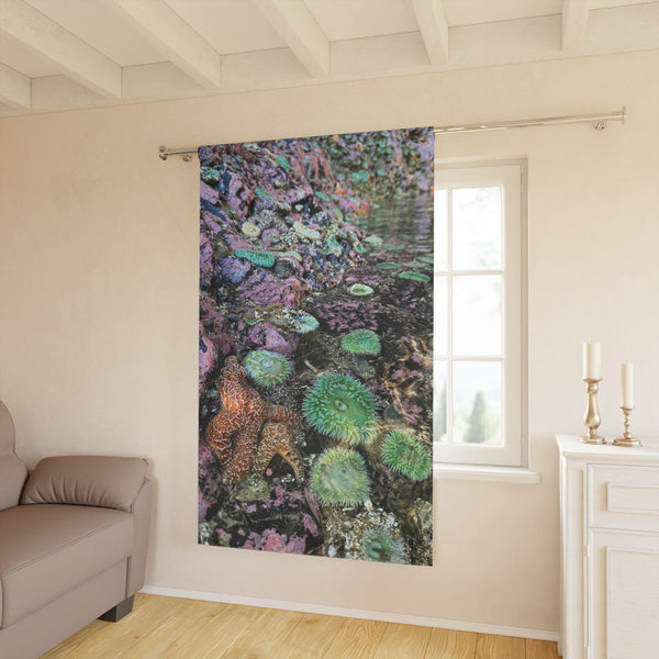 Tide pool Dreamland Window Curtain | Coastal Beach Scene Curtain