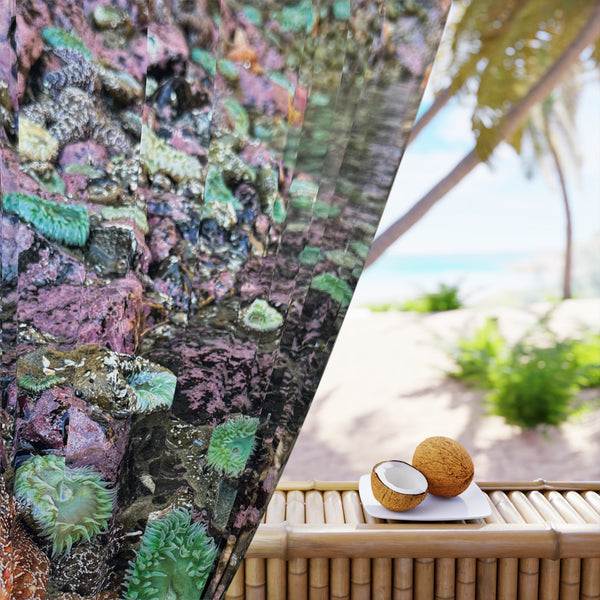 Tide pool Dreamland Window Curtain | Coastal Beach Scene Curtain