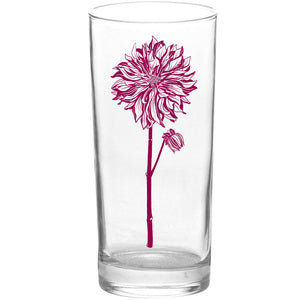 Flowers Dahlia Flower Color Fuchsia Tall Collins Glass