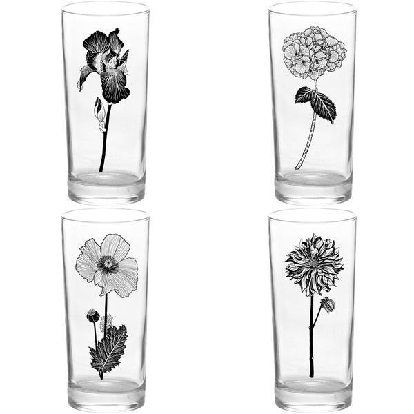 4 Pack Boxed Set Flowers Color & Black Tall Collins Glasses