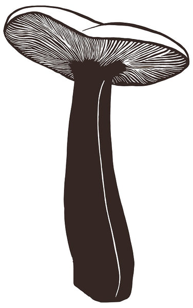 Shroom Mushroom Die-Cut Vinyl Stickers