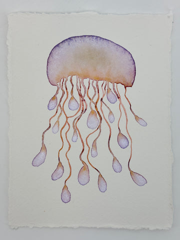 Willow Jelly 11x14  - Original Watercolor Paintings By Seasons Kaz Sparks