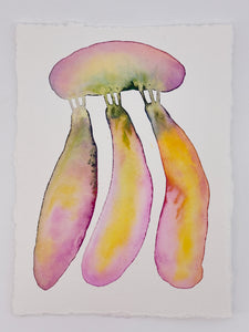 Banana Jelly 11x14  - Original Watercolor Paintings By Seasons Kaz Sparks