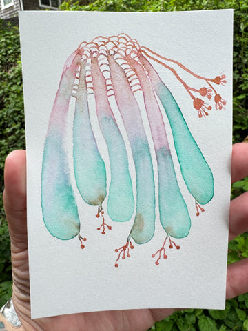 Lily Jellyfish  8x10  - Original Watercolor Paintings By Seasons Kaz Sparks