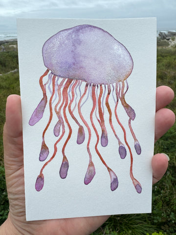 Willow Jelly  8x10  - Original Watercolor Paintings By Seasons Kaz Sparks