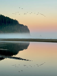 Misty Migration Reflection Original Photography Paper Prints & Framed Metal Prints