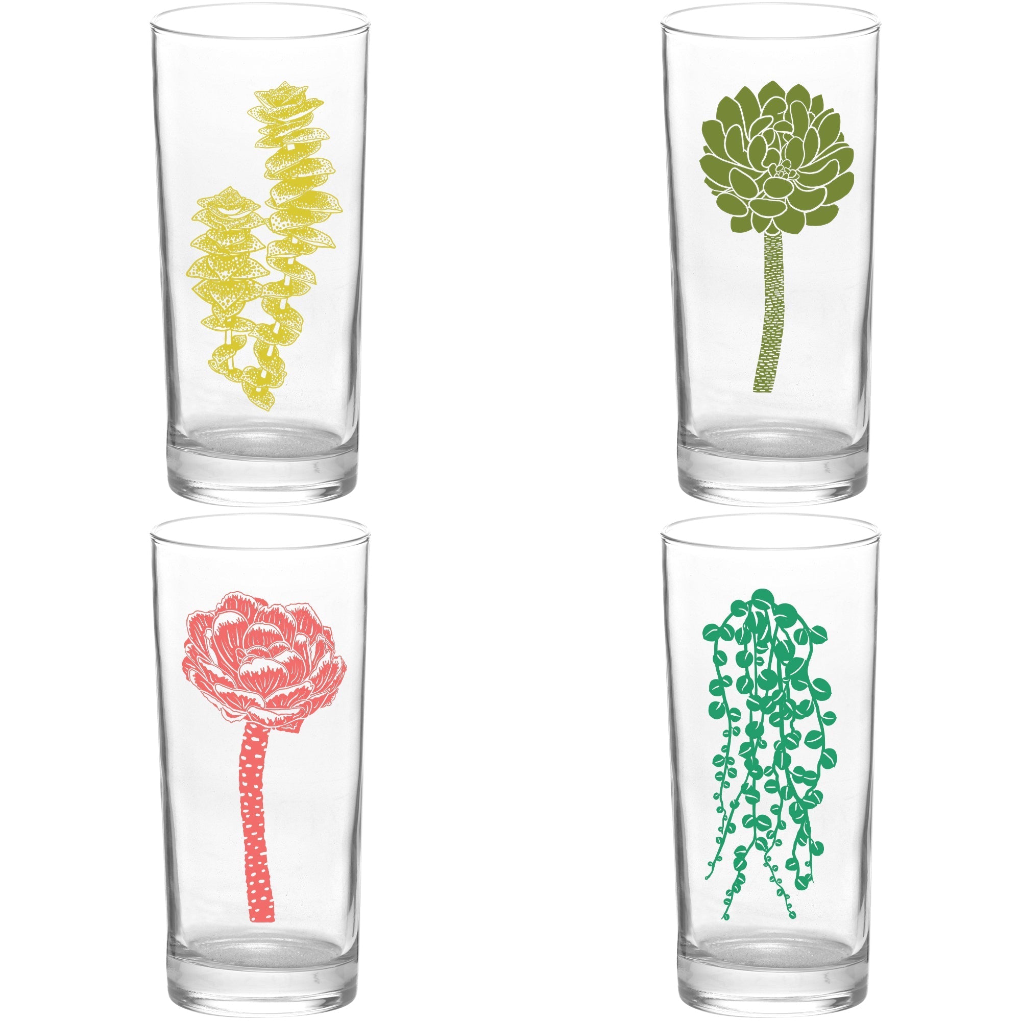 4 Pack Boxed Set Succulent Garden Color Tall Collins Glasses