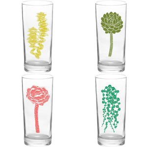 4 Pack Boxed Set Succulent Garden Color Tall Collins Glasses