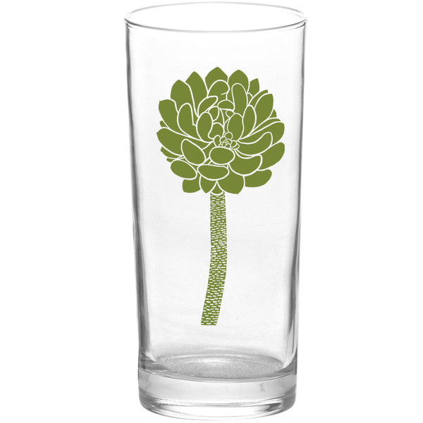 Succulents Succulent Burst Color Green Tall Collins Glasses
