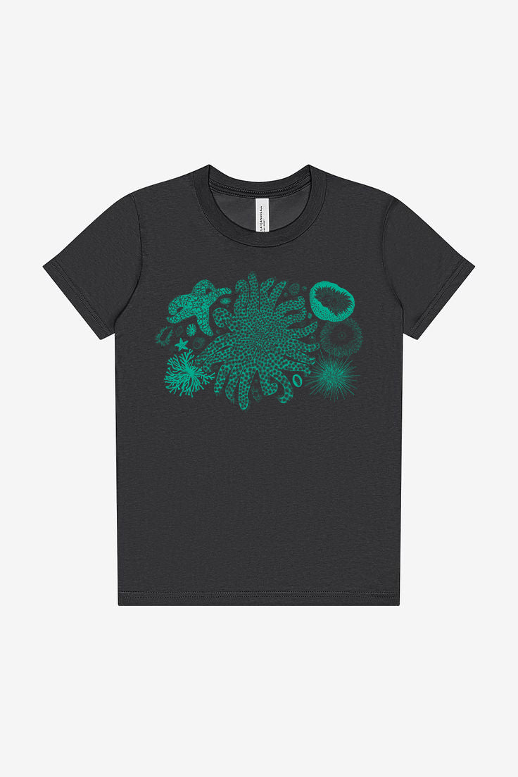 Tide Pool Treasures T-Shirt Toddler & Youth Dark Grey – Salty Raven