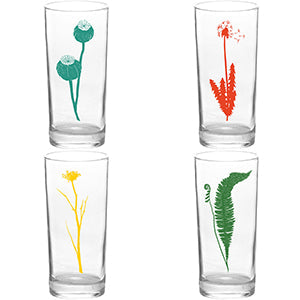 4 Pack Boxed Set Botanical Color Tall Collins Glasses