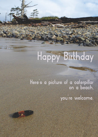 Happy Birthday (Beach Caterpillar) Funny Birthday Card