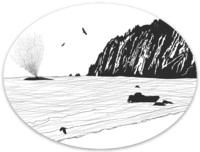 Whale Sighting Oval & Window Stickers