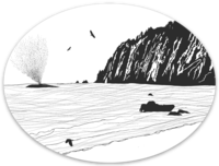 Whale Sighting Die-Cut Oval & Window Stickers