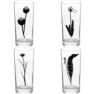 4 Pack Boxed Set Mushrooms Colors and Black Tall Collins Glasses