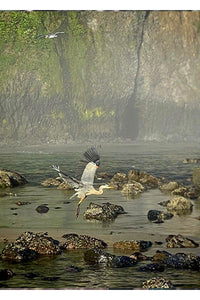 Flying Heron in Morning Mist Blank Greeting Card