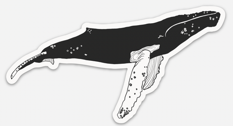 Humpback Whale Die-Cut Vinyl Stickers