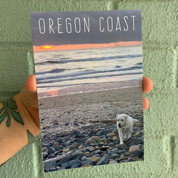 Oregon Coast Yellow Lab Postcard