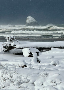 Snow Capped Sea Postcard