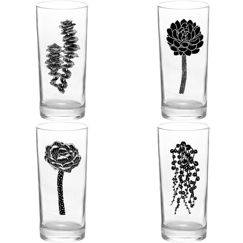 4 Pack Boxed Set Succulent Garden Black Tall Collins Glasses