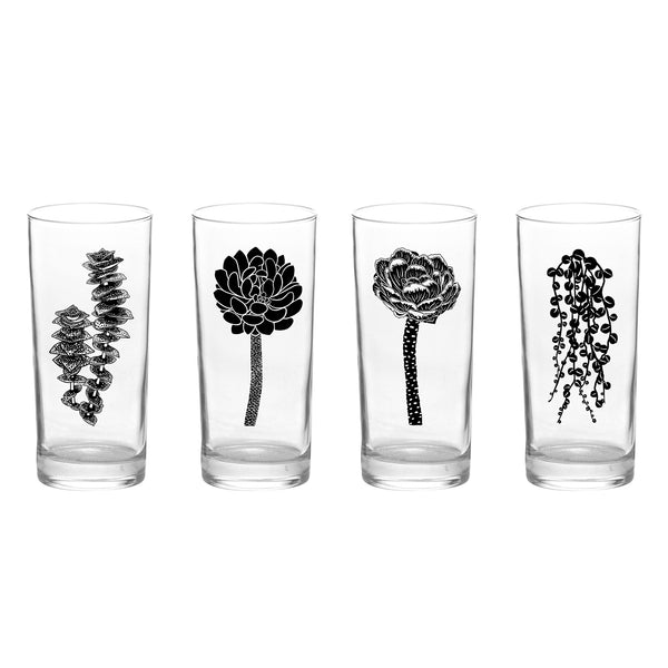 4 Pack Boxed Set Succulent Garden Black Tall Collins Glasses
