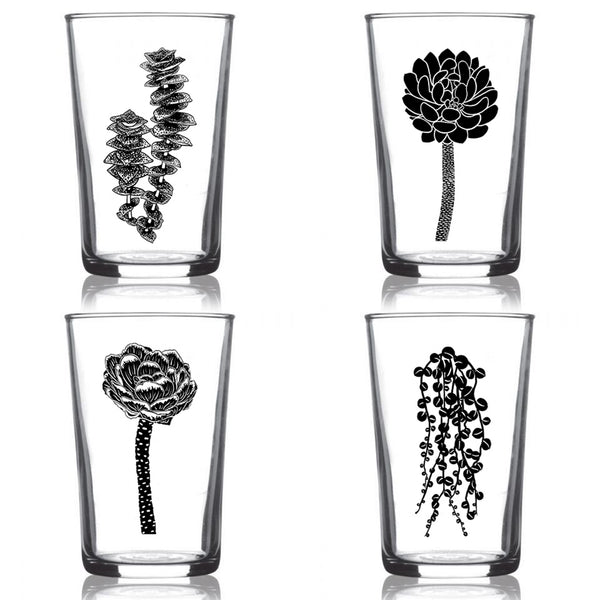 Succulent Garden Euro Wine 4 Pack Color or Black Set