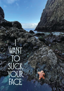 I Want To Suck Your Face Funny Everyday Blank Greeting Card