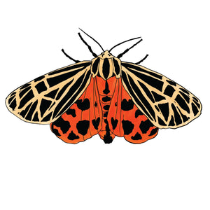 Tiger Moth Die-Cut Vinyl Stickers