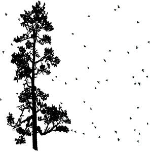Pine Tree Flock T-Shirt - Unisex Heather Forest
